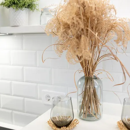 Geri Modern Apartment Zalaegerszeg